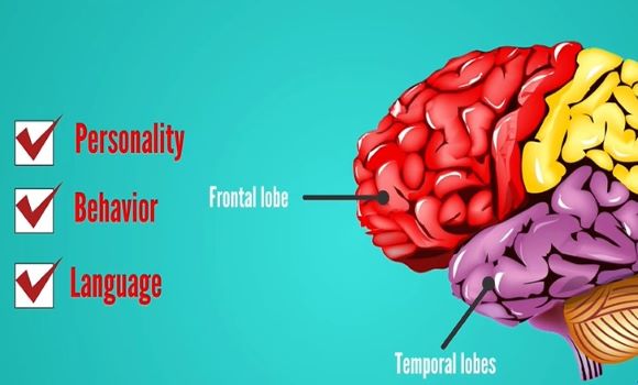 frontotemporal dementia symptoms, treatment and life expectancy